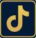 TikTok Icon